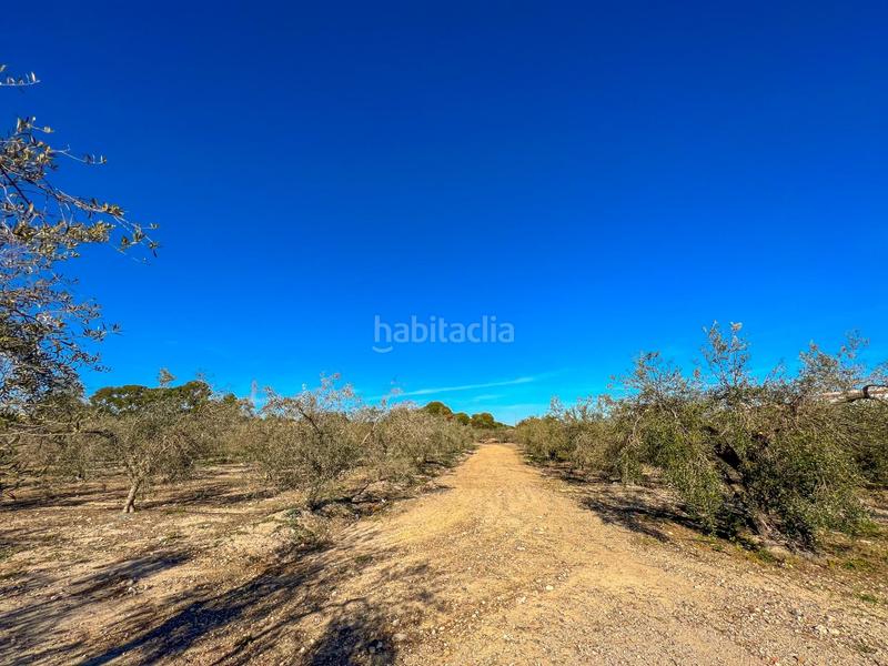 Foto c7e0ff24-80ad-458e-9e34-6f2764e80fc6. Terreny residencial a casc antic - nou Cambrils Cambrils