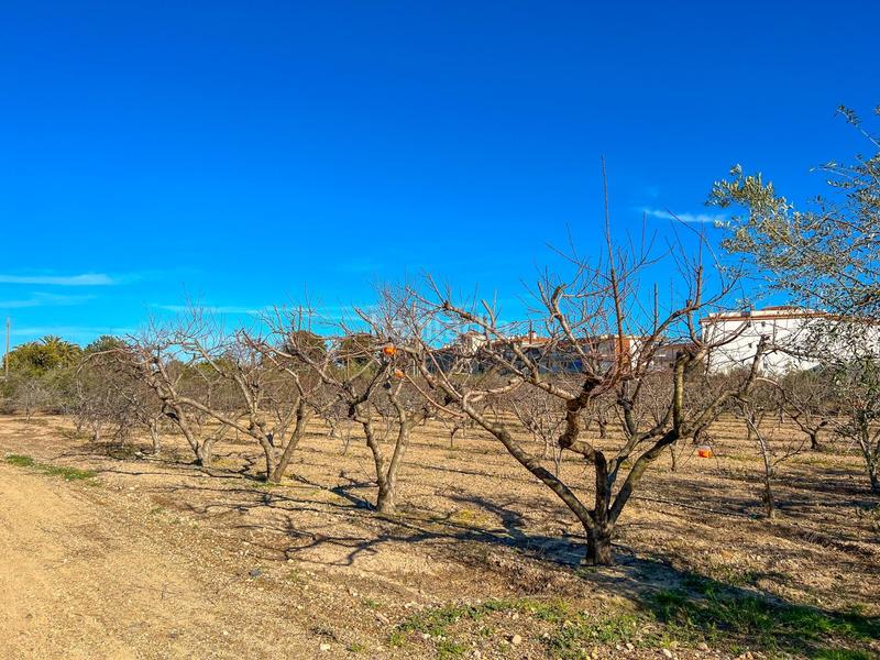 Foto 4def00ca-18aa-4dfa-9677-da9da8954299. Residential plot in casc antic - nou Cambrils Cambrils