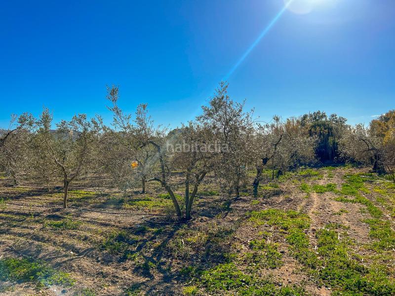 Foto 4f243e5a-836e-439f-83a7-e6ab4607693a. Residential plot in casc antic - nou Cambrils Cambrils