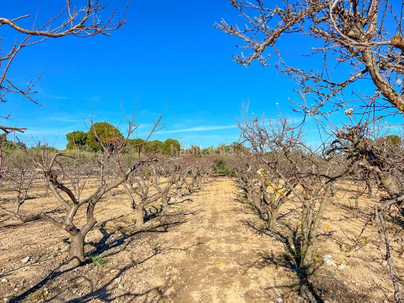 Foto 0cb9e6e0-b028-4744-9302-df36719114fe. Terrain résidentiel dans casc antic - nou Cambrils Cambrils