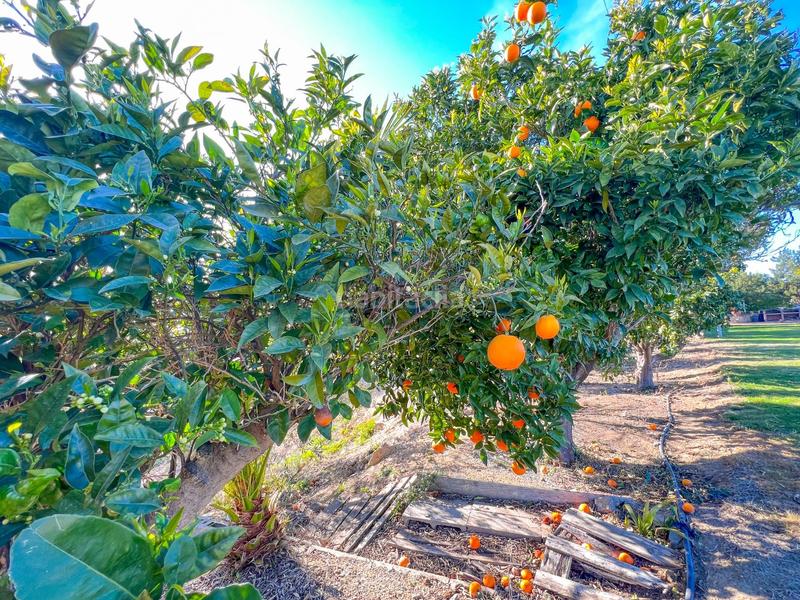 Foto 6033e624-fd1e-4dad-a858-7b3cc4c6ce7a. Terrain résidentiel dans casc antic - nou Cambrils Cambrils