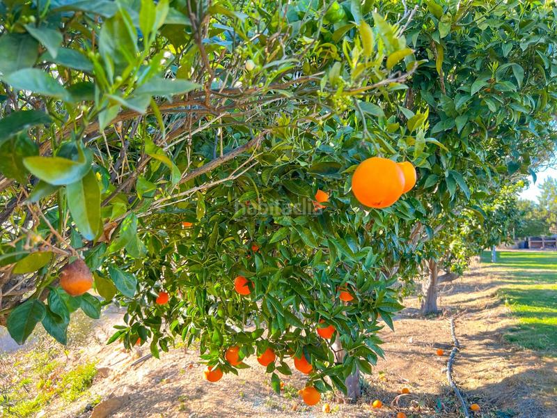 Foto 108417e5-cc58-4346-a38b-055fd79620dc. Terreno residenziale in casc antic - nou Cambrils Cambrils