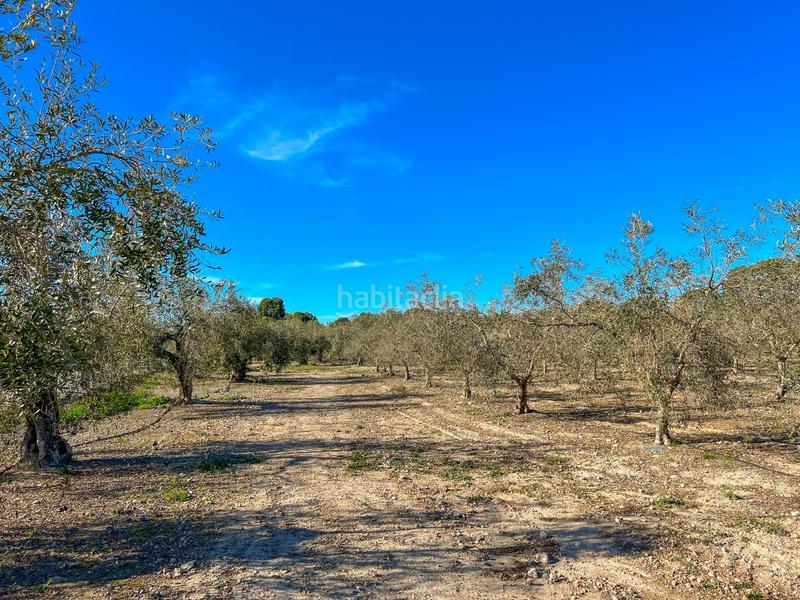 Foto 6d7a1fd2-6122-4d37-abb6-aa51e5c12013. Terreno residenziale in casc antic - nou Cambrils Cambrils