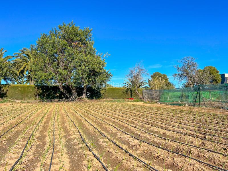 Foto aad9f561-b422-4455-8051-d446ef3d76da. Terreno residenziale in casc antic - nou Cambrils Cambrils