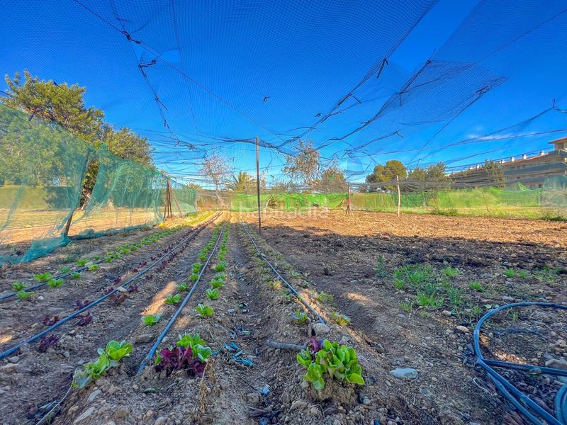 Foto 0301cc5f-5b4b-4201-8b2b-9d59f6c3baf4. Wohngrundstück in casc antic - nou Cambrils Cambrils