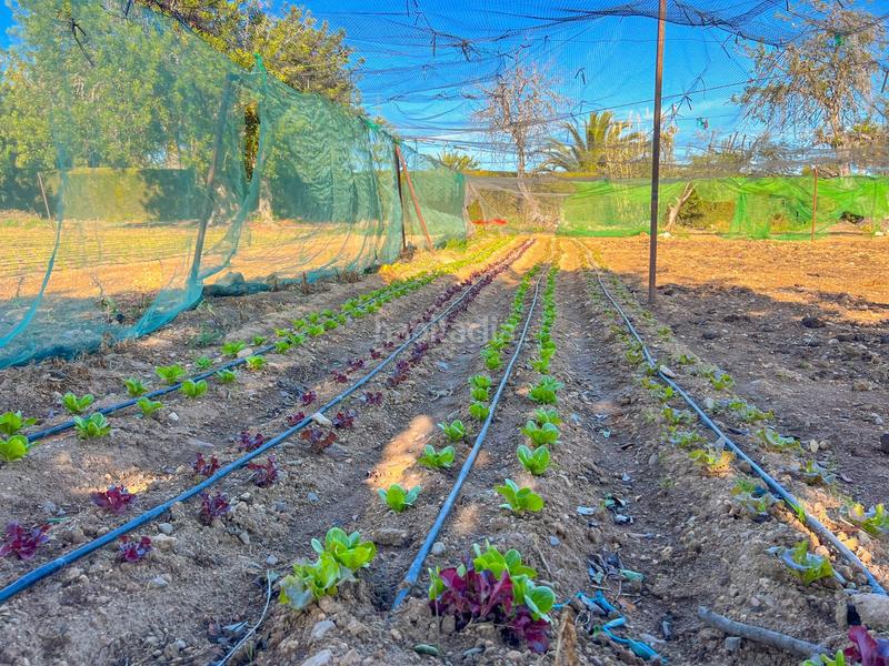 Foto ff2b3ba1-05a5-4f87-a8c9-f368ca9eb946. Wohngrundstück in casc antic - nou Cambrils Cambrils