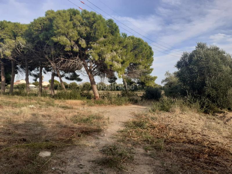 Foto 44a6ba22-0d65-4123-97f9-8410dd34119f. Terreny residencial a Port - Horta de Santa Maria Cambrils