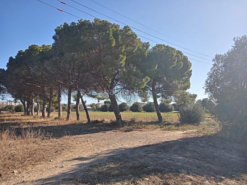 Foto 4ce1bd4f-1763-4a6c-b612-baed5d9ba9f6. Terreny residencial a Port - Horta de Santa Maria Cambrils