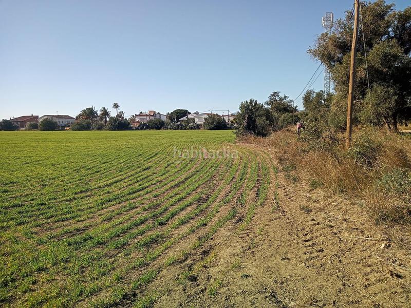 Foto 5b42263a-e9dc-4bd6-a10f-c0fc93404a3a. Terreny residencial a Port - Horta de Santa Maria Cambrils