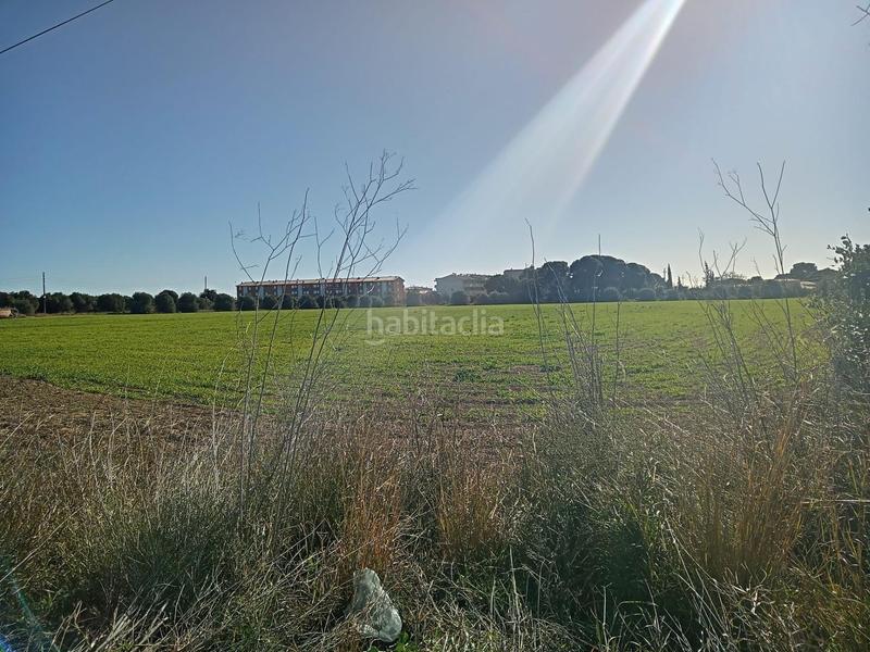 Foto b241c778-7b96-4a79-80e9-629392df21c4. Terreny residencial a Port - Horta de Santa Maria Cambrils