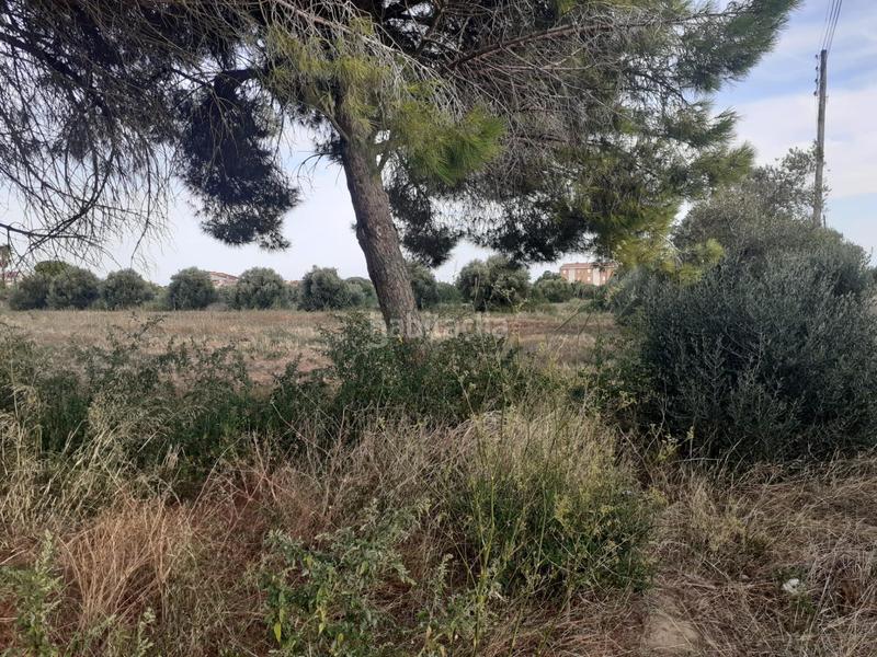Foto be0dbfe1-e494-4fe3-ba29-74cf24dc0d43. Terreny residencial a Port - Horta de Santa Maria Cambrils