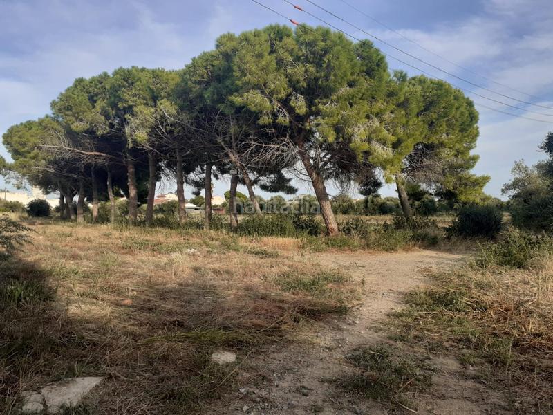 Foto cea8dea2-c20b-4323-91a2-6b2bfd33af40. Terreny residencial a Port - Horta de Santa Maria Cambrils