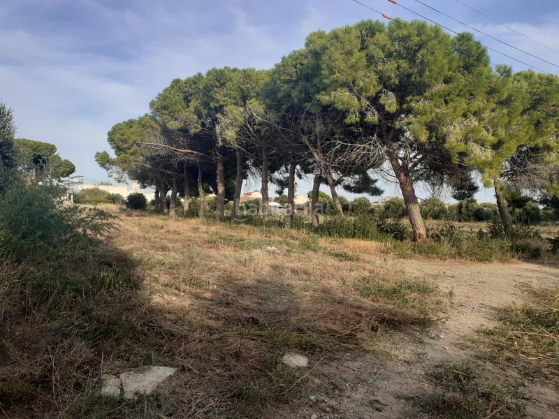Foto f5b86da5-d563-445d-a144-e9062b10e050. Terreny residencial a Port - Horta de Santa Maria Cambrils