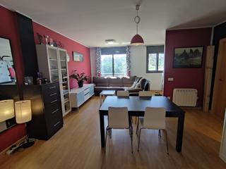 Pis a Carrer carrer de dimecres 94. Se vende piso en  riudecanyes