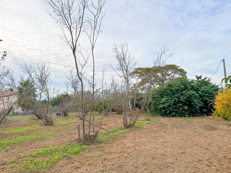 Foto 0bdd5cce-3c05-4af2-8fc9-cbd04527754e. Masia a burgar del 40 a Riudoms