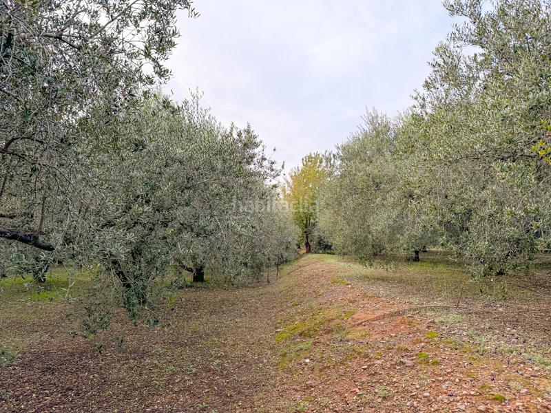 Foto 16678bc8-10ef-467f-955b-33e2762d3b7a. Masia a burgar del 40 a Riudoms