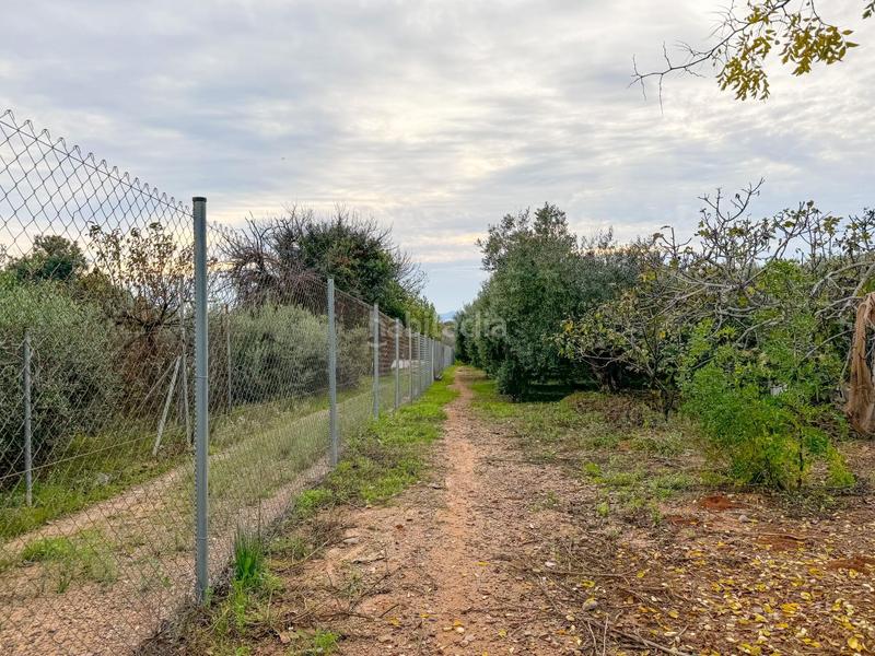 Foto 212c3b08-6e1d-44be-a905-4b83cbef30de. Masia a burgar del 40 a Riudoms