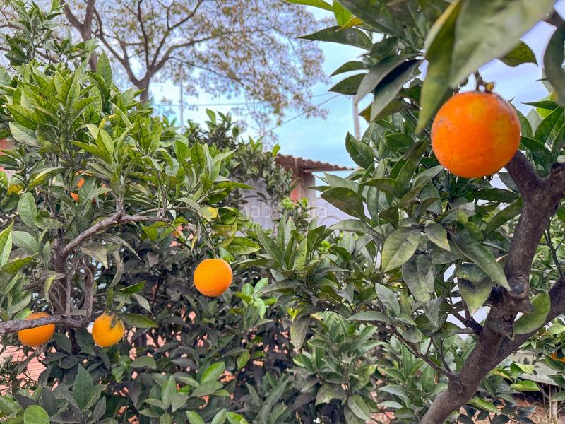 Foto 2267e3fd-ea25-4eb5-84d0-12a11b5f22f3. Masia a burgar del 40 a Riudoms