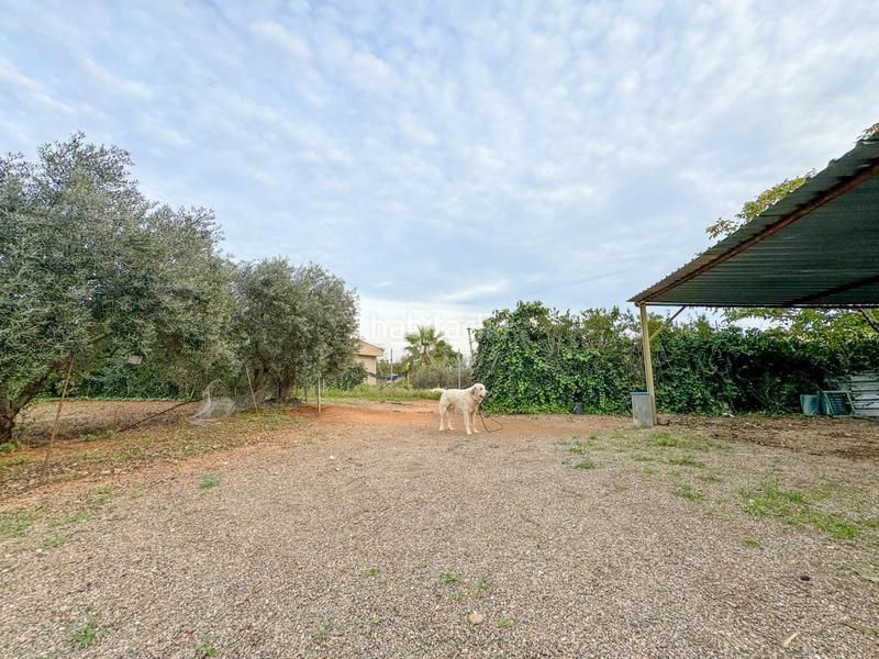 Foto 28f8582f-4f4c-462e-a6fe-ef2157f5625d. Masia a burgar del 40 a Riudoms