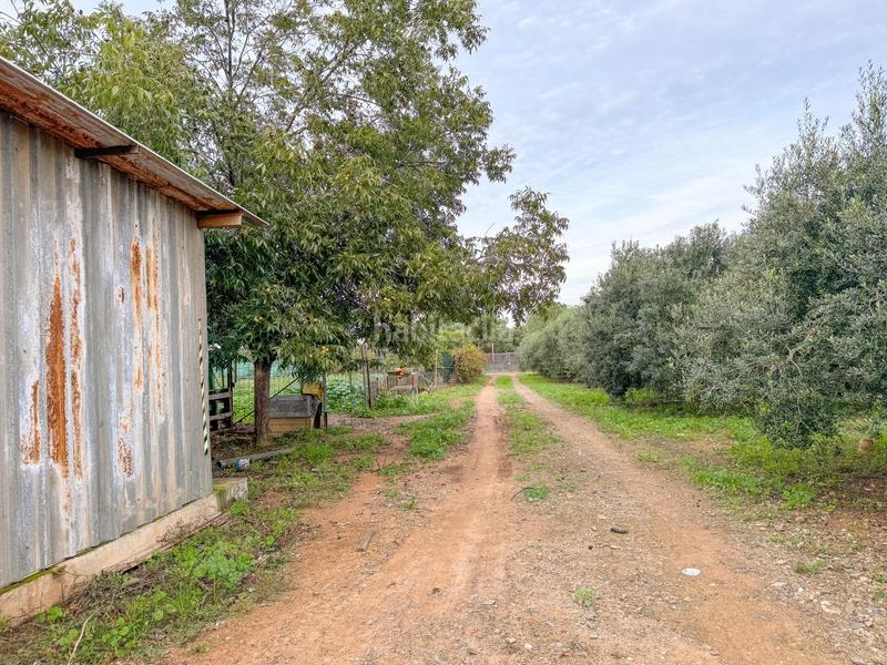 Foto 64929688-4d79-4861-902f-1cbecb47a7dc. Masia a burgar del 40 a Riudoms