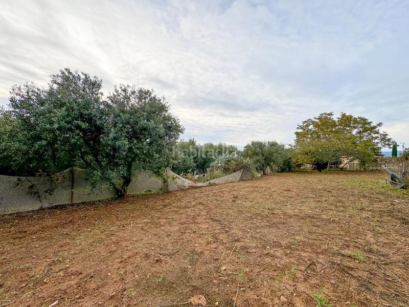 Foto 6c48d3e6-be5a-4637-876e-b0a5b4771c0b. Masia a burgar del 40 a Riudoms