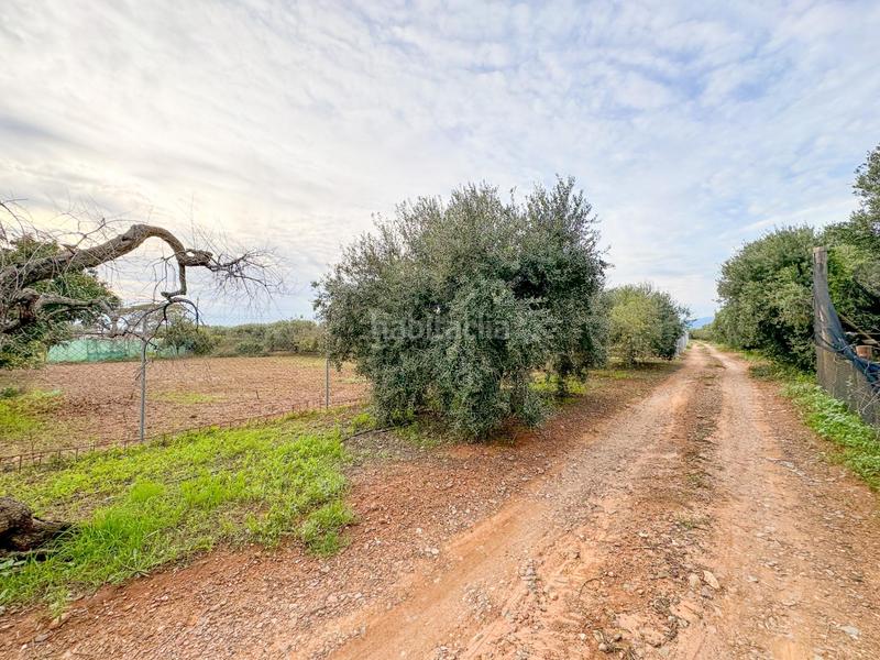 Foto 6f115dc3-1c39-49c3-94df-c453f82b226f. Masia a burgar del 40 a Riudoms