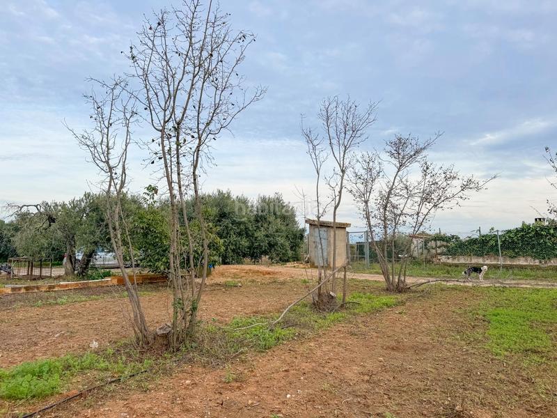 Foto 84015643-6de6-497c-8e50-ef64dae42e55. Masia a burgar del 40 a Riudoms