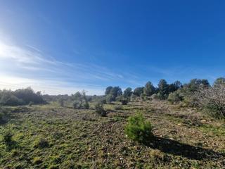 Finca rústica a 43817 17. Venta de finca rústica en pont dalentorn, tarragona  13000 m2 co