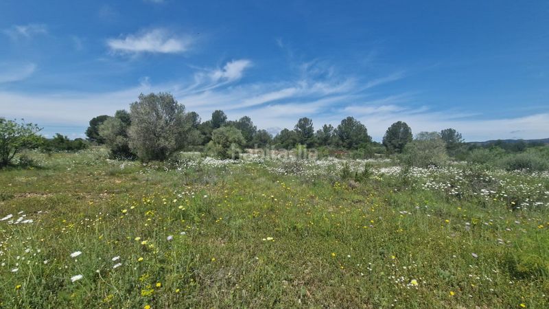 Foto 137719d8-200a-4f4f-849b-73412d0395a3. Finca rústica a 43817 17 a Pont d´Armentera (El)