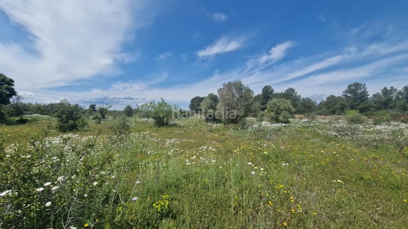 Foto 2964c4c2-b31d-4e1a-a130-770192bd6f33. Finca rústica a 43817 17 a Pont d´Armentera (El)