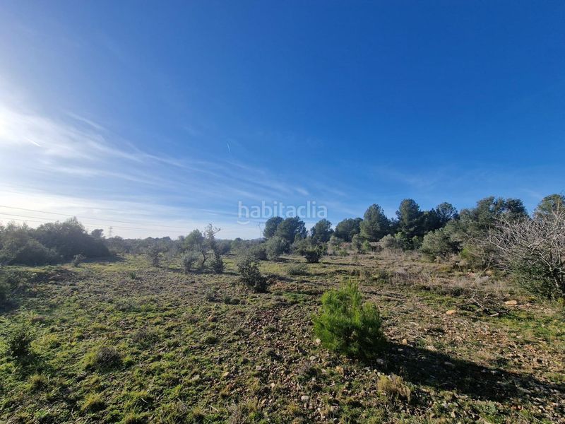 Foto 3b408536-c6e1-46d7-921f-dadc90fd35de. Finca rústica a 43817 17 a Pont d´Armentera (El)