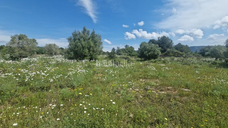 Foto 62aecf6d-2aa0-4b0d-a74e-279c1534d8ad. Finca rústica a 43817 17 a Pont d´Armentera (El)