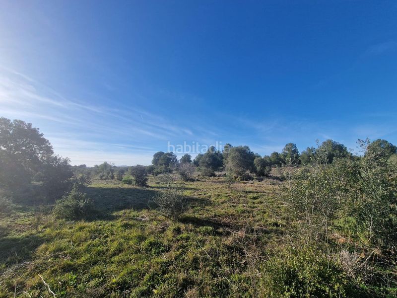 Foto a0025536-8a33-4b5d-a751-832404d139c3. Finca rústica a 43817 17 a Pont d´Armentera (El)