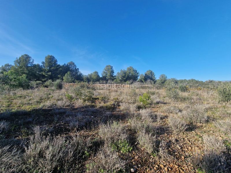 Foto aa39db49-8aa4-4274-bea3-9755df74e1ce. Finca rústica a 43817 17 a Pont d´Armentera (El)