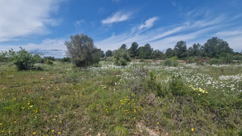 Foto aeccee5d-755a-4aa5-ab6a-943047635386. Finca rústica a 43817 17 a Pont d´Armentera (El)