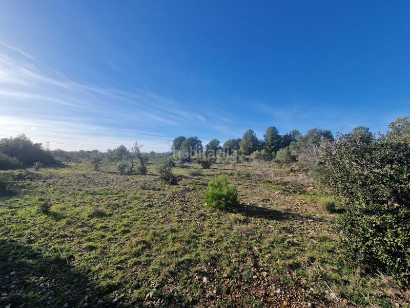 Foto ff9916d8-951a-4f8b-b07b-5b0f25765a8e. Finca rústica a 43817 17 a Pont d´Armentera (El)