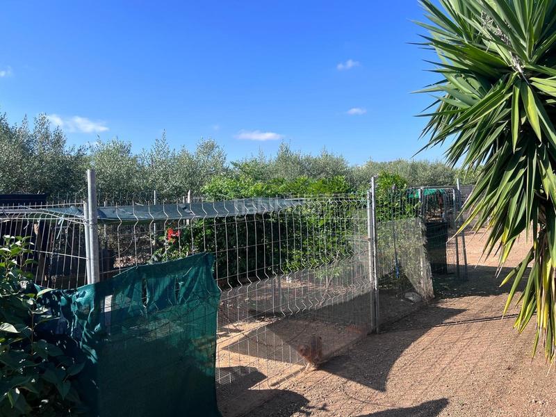 Foto 6b41c1d9-b4ec-44cf-acfc-76aab88e10e7. Country house with heating parking in Llevant Reus