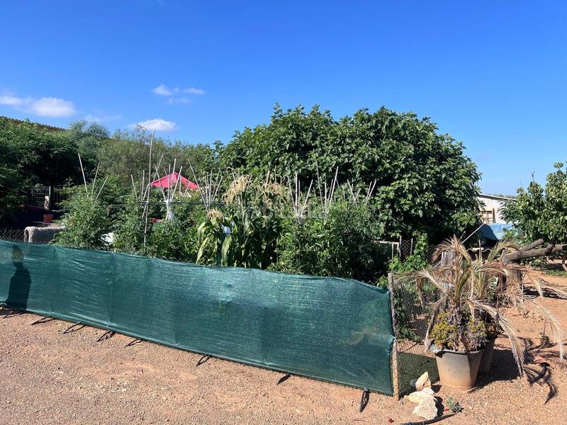 Foto ef67775d-44e5-4a34-b8d5-a3f7939bbf71. Country house with heating parking in Llevant Reus