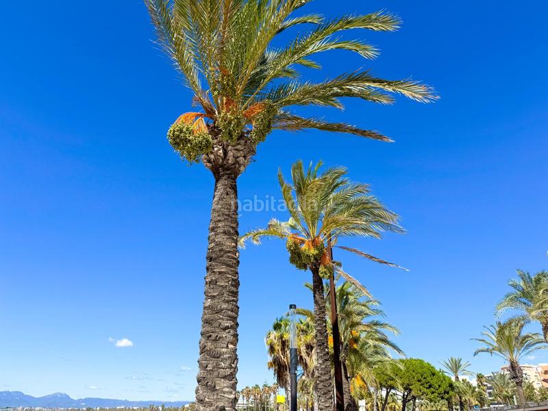 Foto e85576c9-69f9-4b0e-8f04-9814f18d9818. Pis a Mar i Camp - Platja dels Capellans Salou