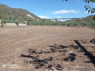 Rural plot in Roda de Barà. Muntanya dels molins. roda de bera