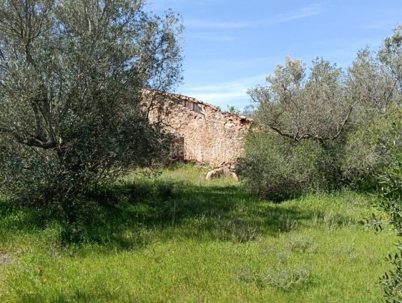 Foto 6cc57671-f539-479f-923d-b8c37e05de7d. Finca rústica a Roquetes