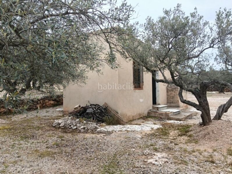 Foto e8499b54-fe53-4b8e-bec8-9e4906394d88. Finca rústica a Roquetes