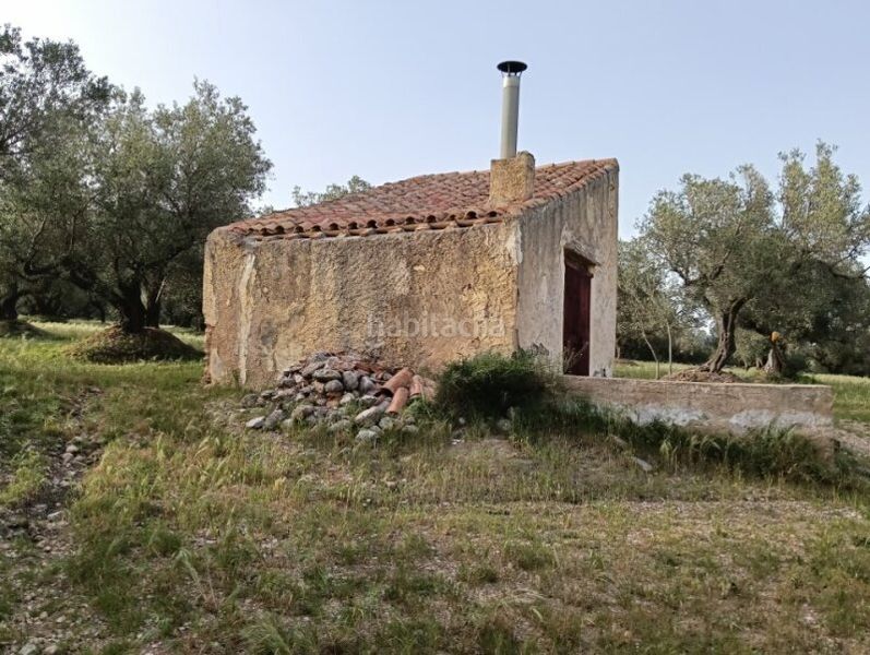 Foto c6c5faea-98ff-40f0-ab31-1a9a640d0ab0. Finca rústica a Roquetes