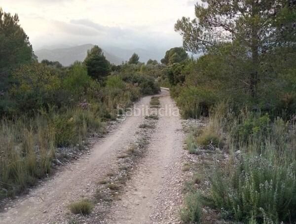 Foto 97aa2600-7be3-4eb0-bd5a-81d540e25087. Finca rústica a Centre Reus
