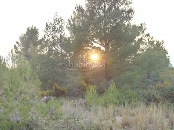 Foto c66f21a1-7d50-49fa-af25-14fb145168c7. Finca rústica a Centre Reus