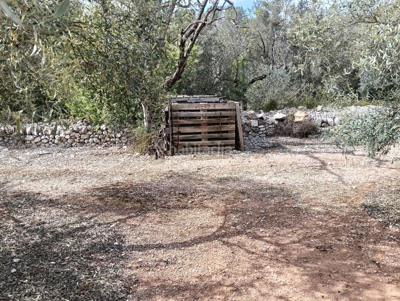 Foto edf3fd5c-5625-4cda-b192-92e015148d71. Finca rústica a Ulldecona