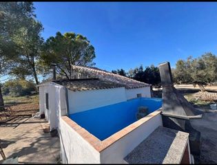 Masia a Ulldecona. Bonita finca de olivos con casa de 41m2