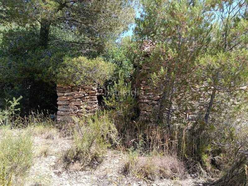 Foto 3e95b81a-6335-4f47-857a-95a5f70f1802. Finca rústica a Tivenys