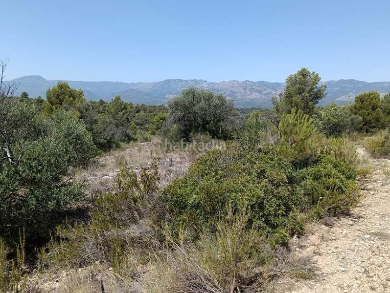 Foto f6cf1be9-b483-4dad-ab12-2a69e99956e5. Finca rústica a Tivenys