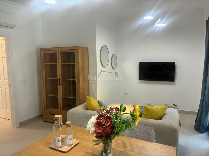 Foto fec3095f-4b5a-48ea-9447-9c8143e6daa0. Rent flat in La Goleta - San Felipe Neri Málaga